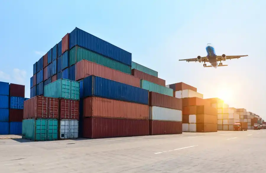 pshb ambriosia fungi relationship